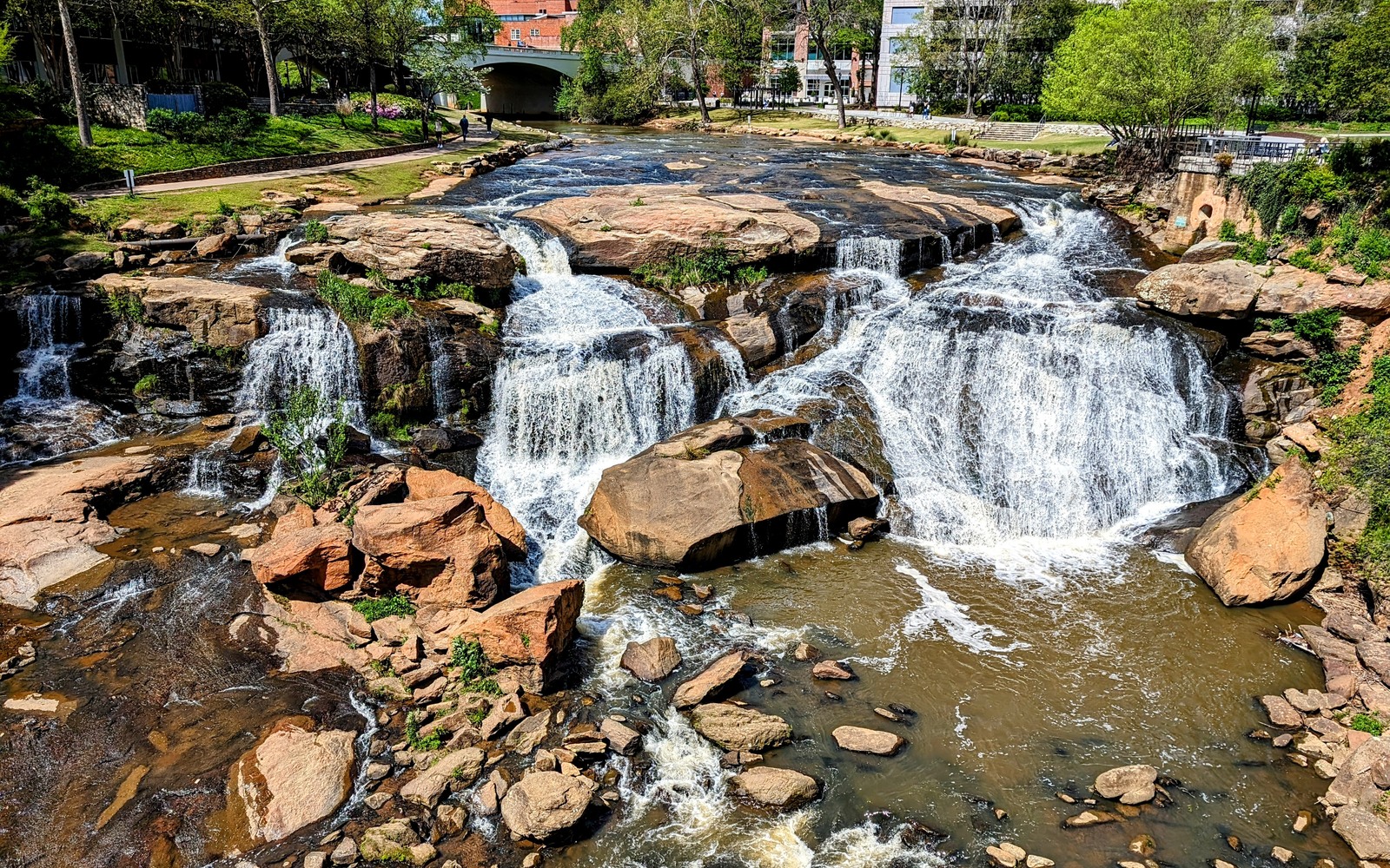 498205_25 Greenville Sc